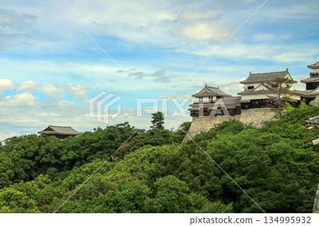 松山城 134995932