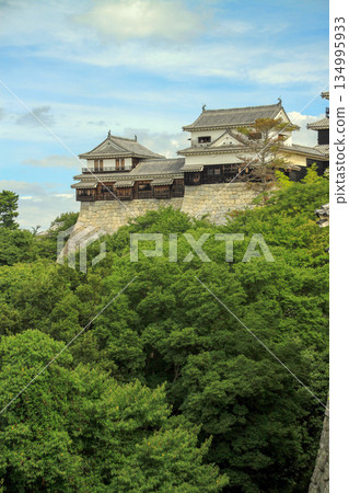 松山城 134995933