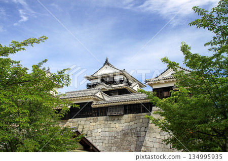 松山城 134995935