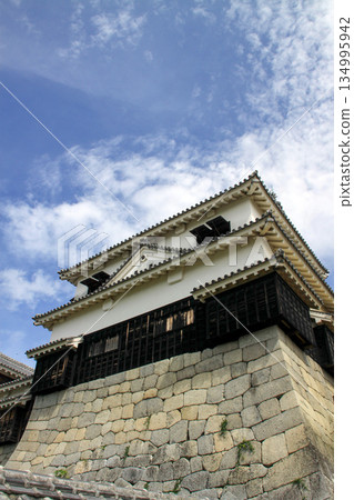 松山城 134995942