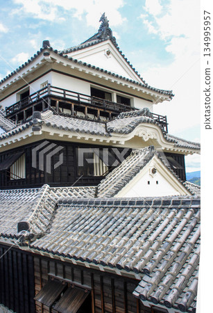 松山城 134995957
