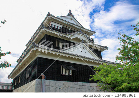 松山城 松山城 134995961