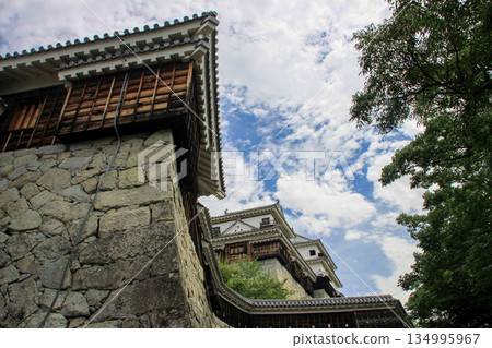 松山城 松山城 134995967