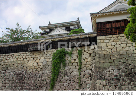 松山城 松山城 134995968