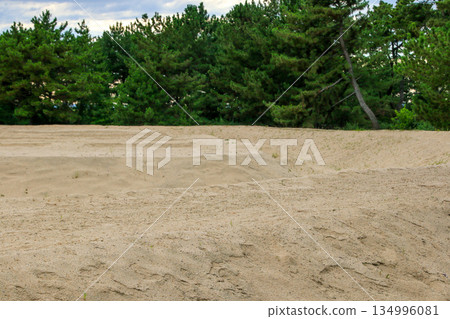 手榴彈公園 134996081