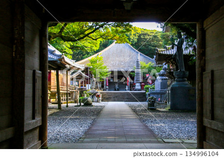 Tomodachi Temples 134996104