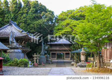 Tomodachi Temples 134996116