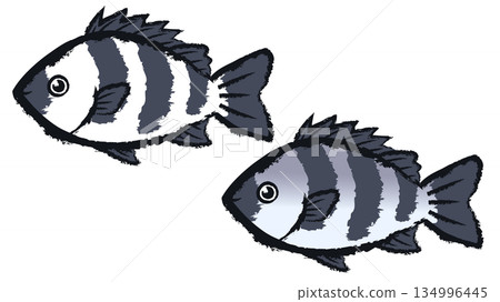 Sea bream 134996445