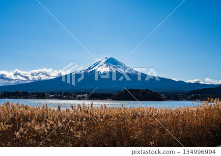 Lake Kawaguchi and Mount Fuji in Yamanashi Prefecture Lake Kawaguchi and Mount Fuji in Yamanashi Prefecture 134996904
