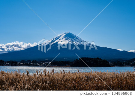 山梨縣河口湖和富士山 山梨縣河口湖和富士山 134996908