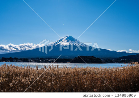 Lake Kawaguchi and Mount Fuji in Yamanashi Prefecture 134996909