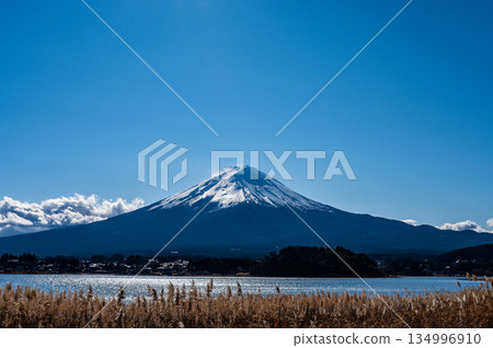 Lake Kawaguchi and Mount Fuji in Yamanashi Prefecture 134996910