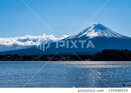 Lake Kawaguchi and Mount Fuji in Yamanashi Prefecture 134996934