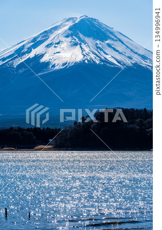 山梨縣河口湖和富士山 山梨縣河口湖和富士山 134996941