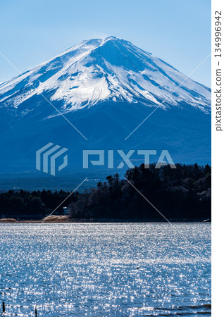 Lake Kawaguchi and Mount Fuji in Yamanashi Prefecture Lake Kawaguchi and Mount Fuji in Yamanashi Prefecture 134996942