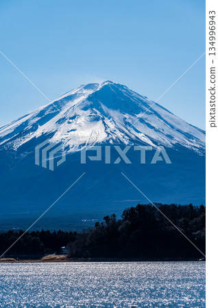 山梨縣河口湖和富士山 山梨縣河口湖和富士山 134996943
