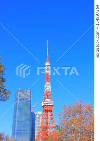 東京都港區東京鐵塔風景 134997264
