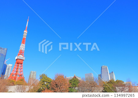 東京都港區東京鐵塔風景 134997265