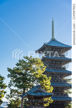 發光在藍天的五層塔 134997661