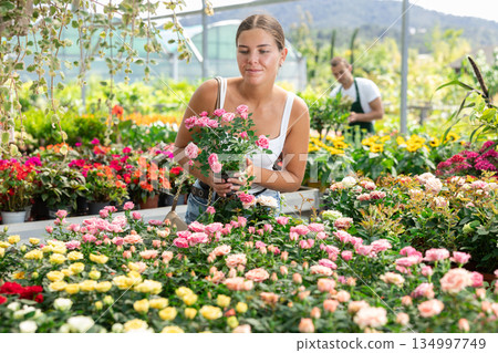 Girl walks through exhibition of ornamental plants, examines rose in showcase 134997749