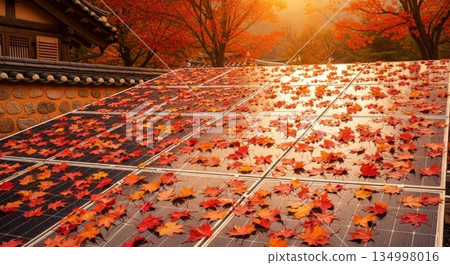 Solar panels covered with autumn maple leaves on traditional Korean hanok roof during fall season renewable energy sustainability concept 134998016