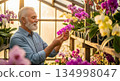 Senior european man with white beard carefully examining purple orchid flower in bright greenhouse surrounded by colorful blooming orchids on wooden shelves 134998047