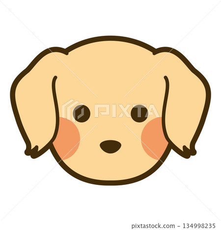 金毛尋回犬臉部圖標 134998235