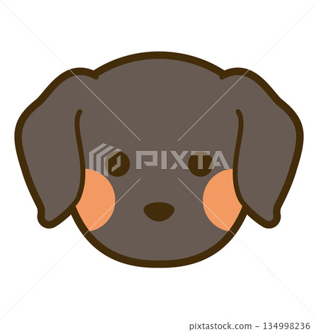 Labrador retriever face icon 134998236