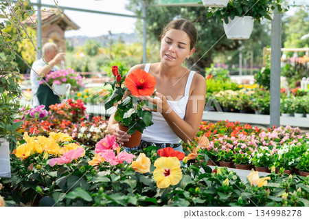Girl walks through exhibition of ornamental plants, examines hibiscus in showcase Girl walks through exhibition of ornamental plants, examines hibiscus in showcase 134998278