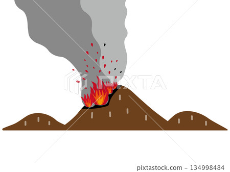 簡單的冬季森林火災圖片 134998484