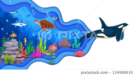 Underwater sea life paper cut vector landscape. Orca killer whale swimming with colorful corals, tuna fish, red, crab, clownfish, sea turtle and various tropical fish. Vector layered card Underwater sea life paper cut vector landscape. Orca killer whale swimming with colorful corals, tuna fish, red, crab, clownfish, sea turtle and various tropical fish. Vector layered card 134998610