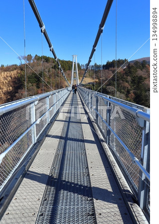 日本最高的步行橋（九重「夢」懸索橋，位於中村以北） 134998894
