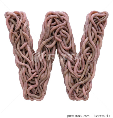 earthworm letter W - Capital 3d earthworm font - suitable for gardening, compost or horror concept related subjects earthworm letter W - Capital 3d earthworm font - suitable for gardening, compost or horror concept related subjects 134998914