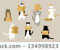 Seven cats carrying cardboard boxes 134998923