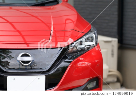 domestic electric vehicle 134999019