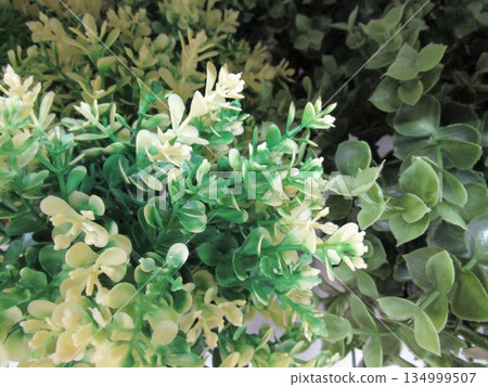 人造植物 人造植物 134999507