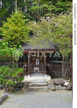 京都八幡大神宮、平野神社（京都府京都市北區） 134999972