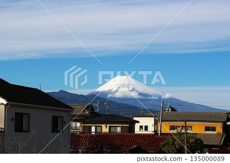 白雪皚皚的富士山和枯草映襯著蔚藍的冬日天空。 白雪皚皚的富士山和枯草映襯著蔚藍的冬日天空。 135000089