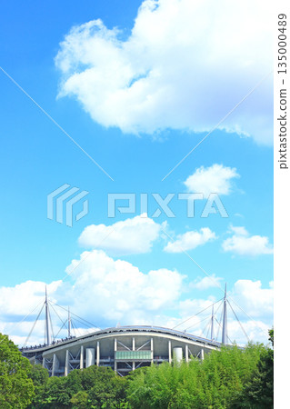 愛知縣豐田市豐田體育場 135000489