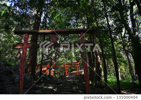 The approach to Inari Shrine at Kagoshima Shrine 135000494