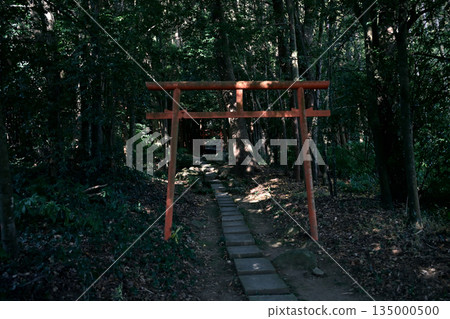 森林中一座神秘的鳥居 森林中一座神秘的鳥居 135000500