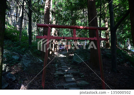 Beautiful Inari Shrine at Kagoshima Shrine 135000502