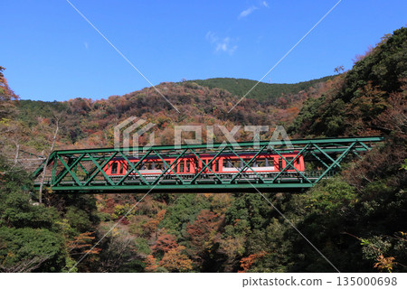 Odakyu Hakone train crossing Hayakawa Bridge in autumn 135000698