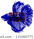 Blue and red betta fish vector illustration siamese fighting fish design for pet stores aquarium 135000775