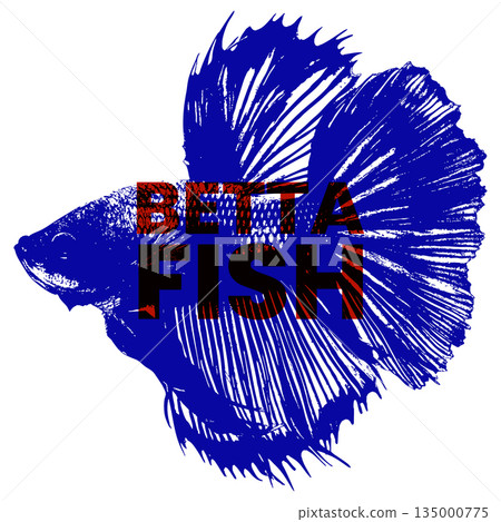 Blue and red betta fish vector illustration siamese fighting fish design for pet stores aquarium Blue and red betta fish vector illustration siamese fighting fish design for pet stores aquarium 135000775