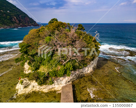 Ryugujima Island in Shimoda, Izu, and the red torii gate of Shirashima Shrine. Drone shot from Ogasaki Wing. Blue sea, white waves, and green forest. Ryugujima Island in Shimoda, Izu, and the red torii gate of Shirashima Shrine. Drone shot from Ogasaki Wing. Blue sea, white waves, and green forest. 135000867