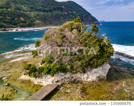 伊豆下田縣的龍宮島，以及白島神社的紅色鳥居。無人機從小笠崎翼拍攝。碧海藍天，波光粼粼，綠林蔥蘢。 135000870