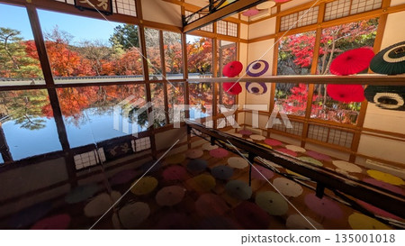 Floor maple at Baotokuji Floor maple at Baotokuji 135001018