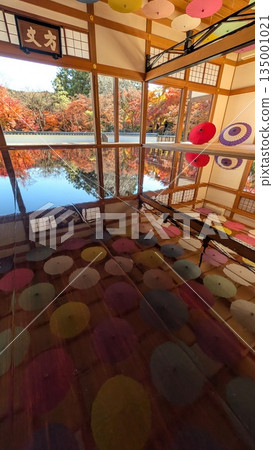 Floor maple at Baotokuji Floor maple at Baotokuji 135001021