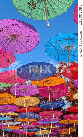 法德寺的秋葉和日式傘 135001095